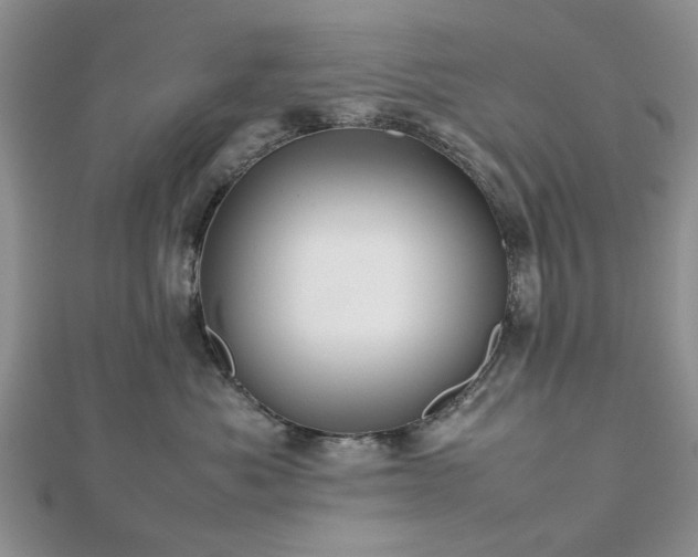 X0000112470525200908241235