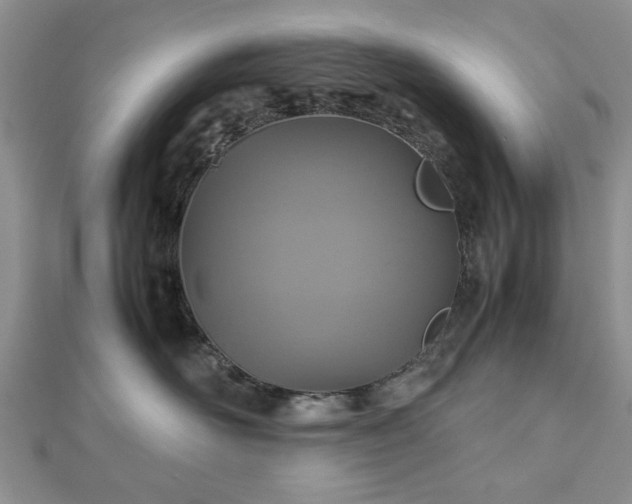 X0000112470526200908241235