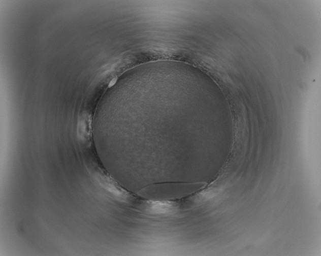 X0000112470528200908241235