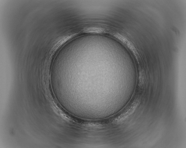 X0000112470529200908241235