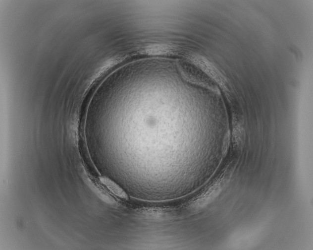 X0000112470530200908241235