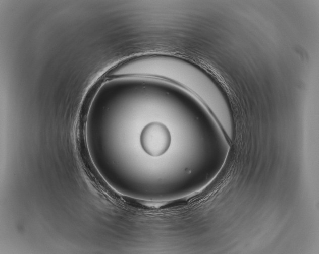 X0000112470532200908241235