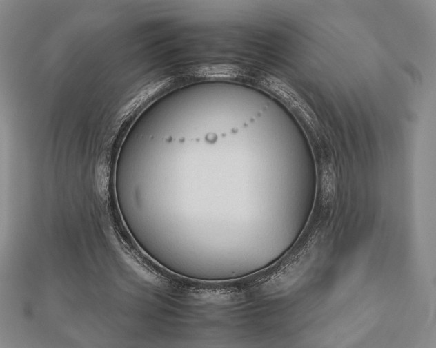 X0000112470533200908241235