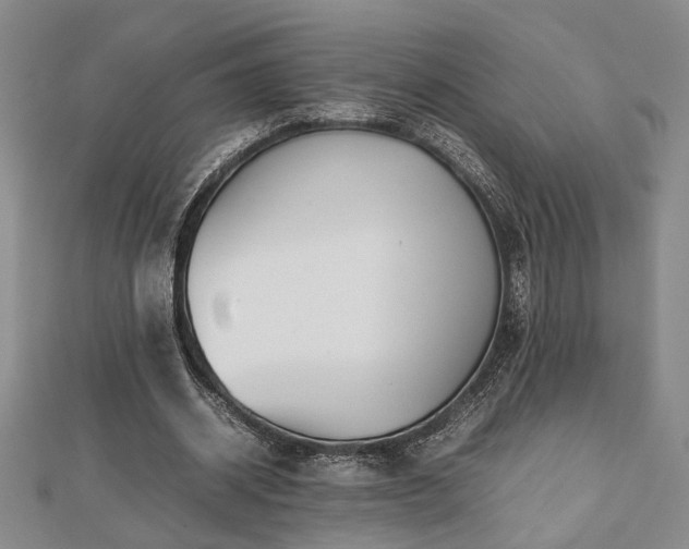 X0000112470534200908241235