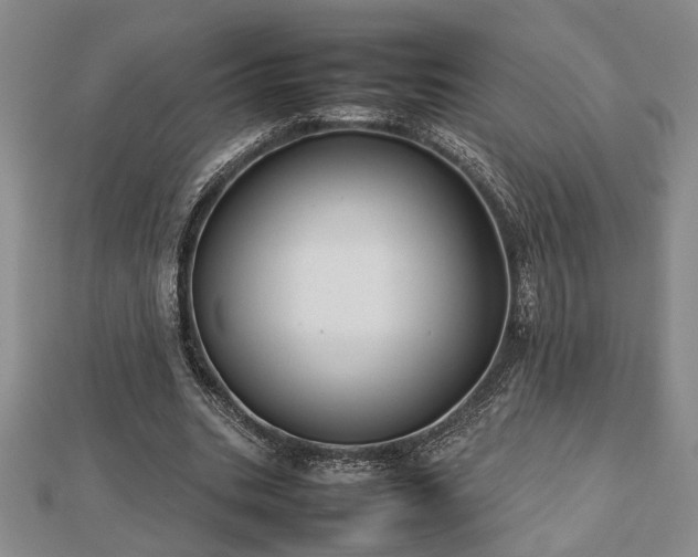 X0000112470535200908241235