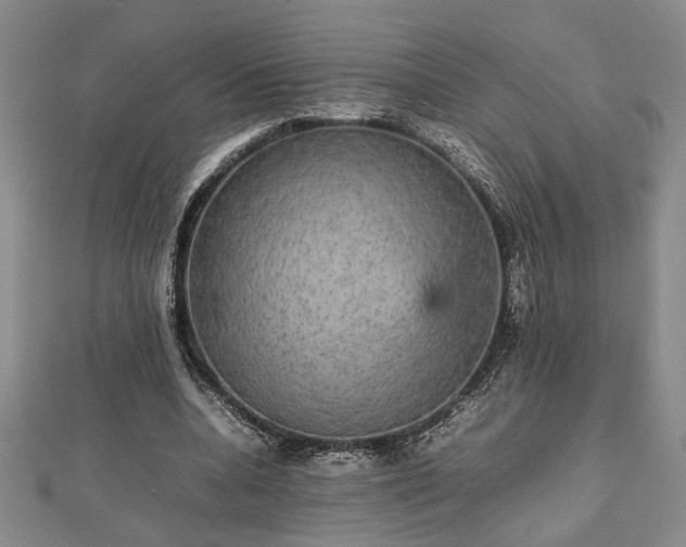 X0000112470536200908241235