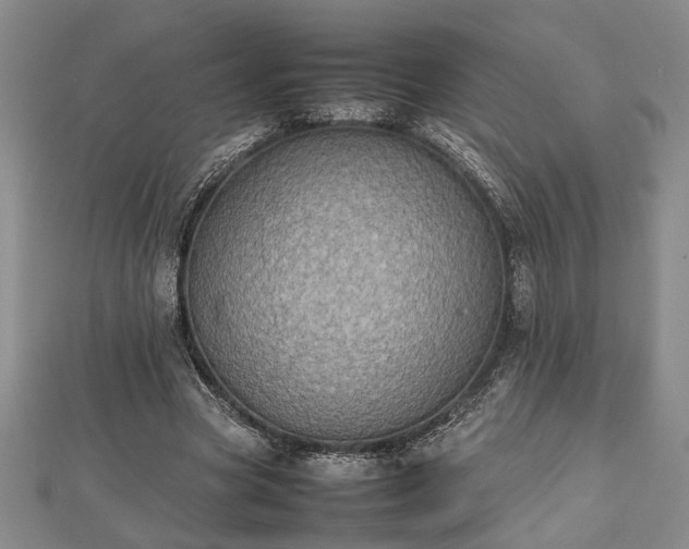 X0000112470537200908241235