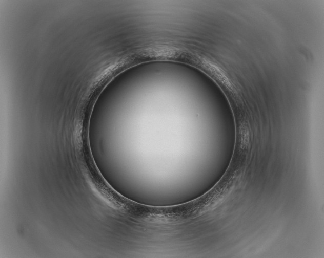 X0000112470538200908241235