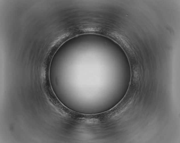 X0000112470539200908241235