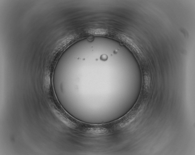 X0000112470541200908241235