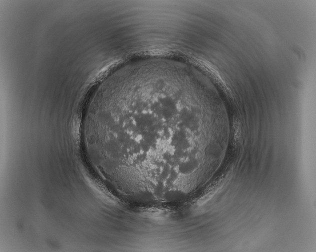 X0000112470542200908241235