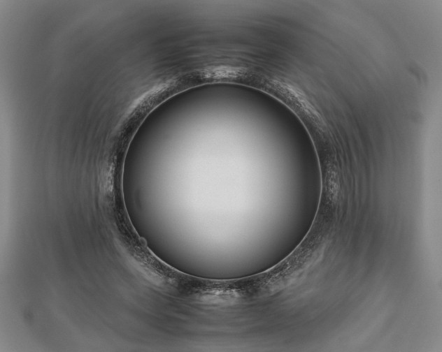 X0000112470543200908241235