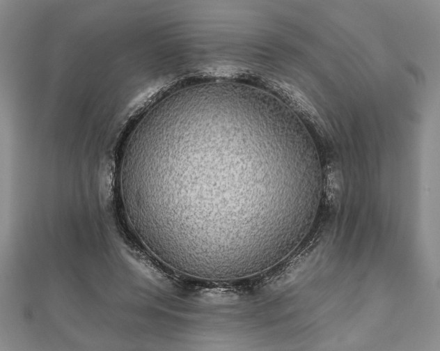 X0000112470544200908241235