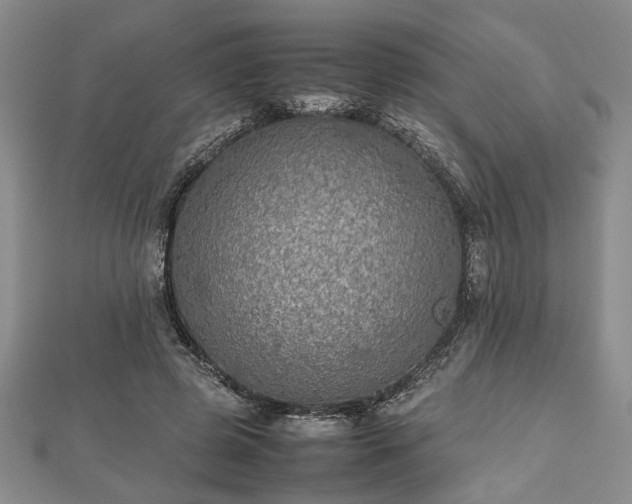 X0000112470545200908241235