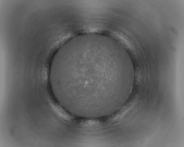 X0000112470546200908241235