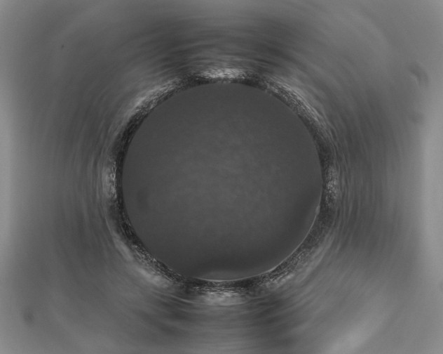 X0000112470547200908241235