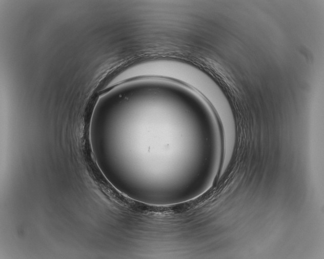 X0000112470548200908241235