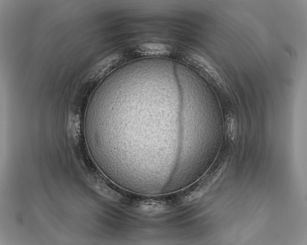 X0000112470549200908241235