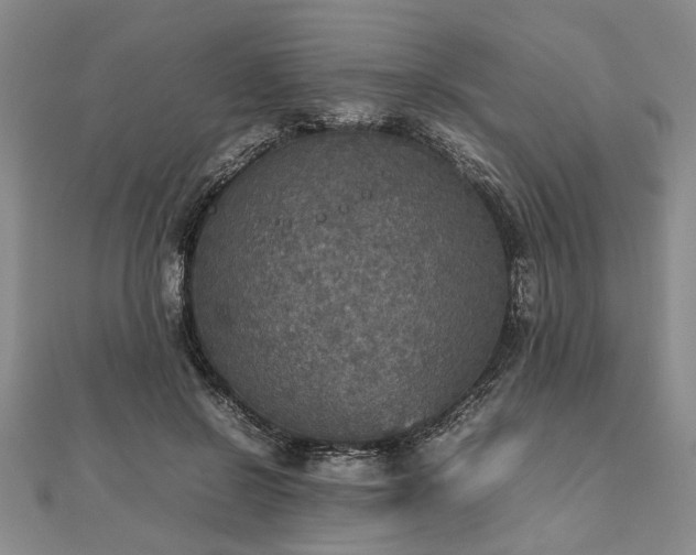 X0000112470550200908241235