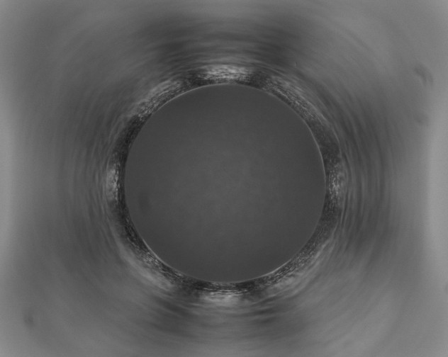 X0000112470551200908241235