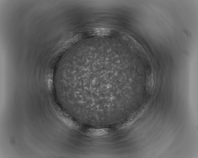 X0000112470553200908241235