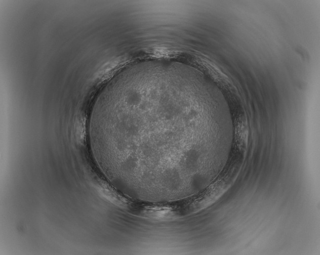 X0000112470554200908241235