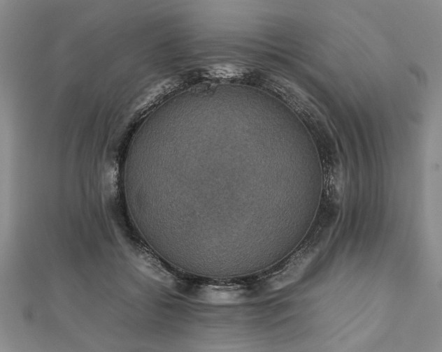 X0000112470556200908241235