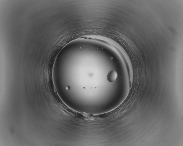 X0000112470558200908241235