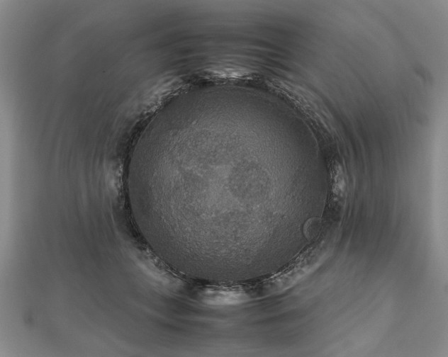 X0000112470559200908241235