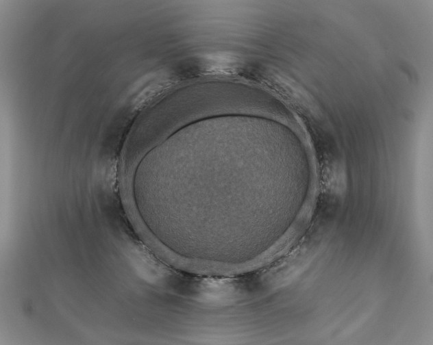 X0000112470560200908241235