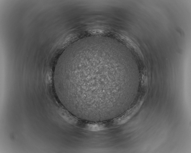 X0000112470561200908241235