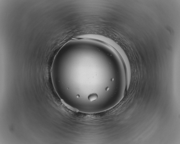 X0000112470562200908241235