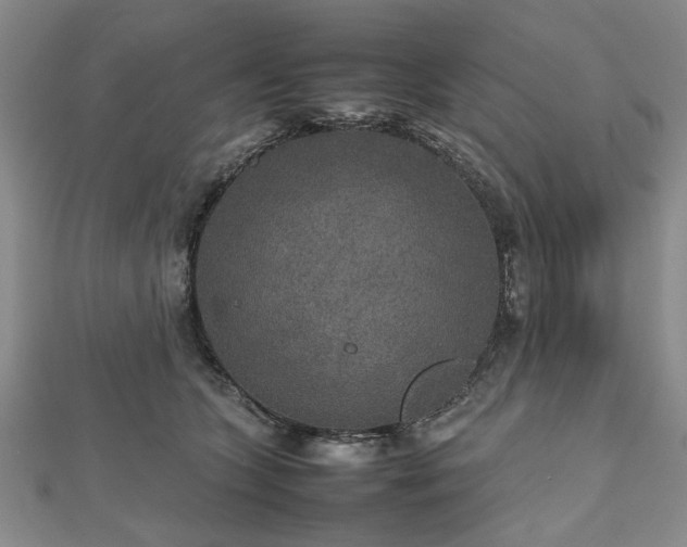 X0000112470563200908241235