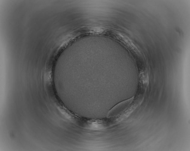 X0000112470564200908241235