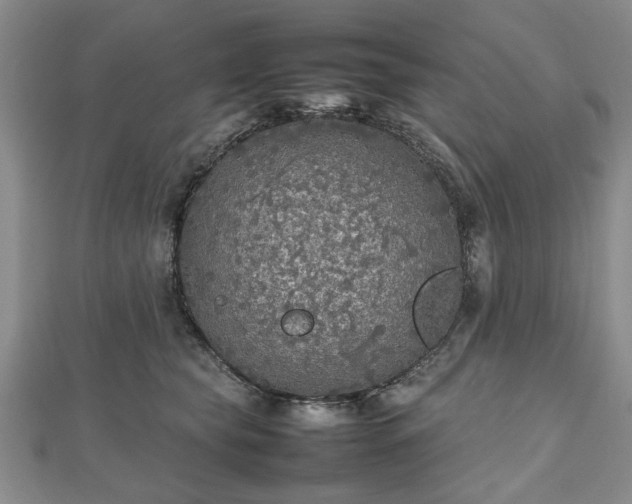 X0000112470565200908241235