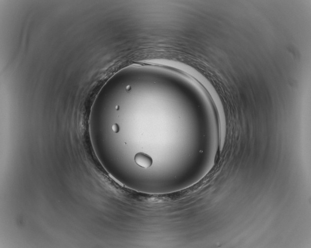 X0000112470566200908241235