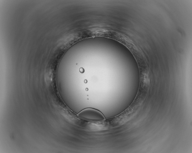 X0000112470567200908241235