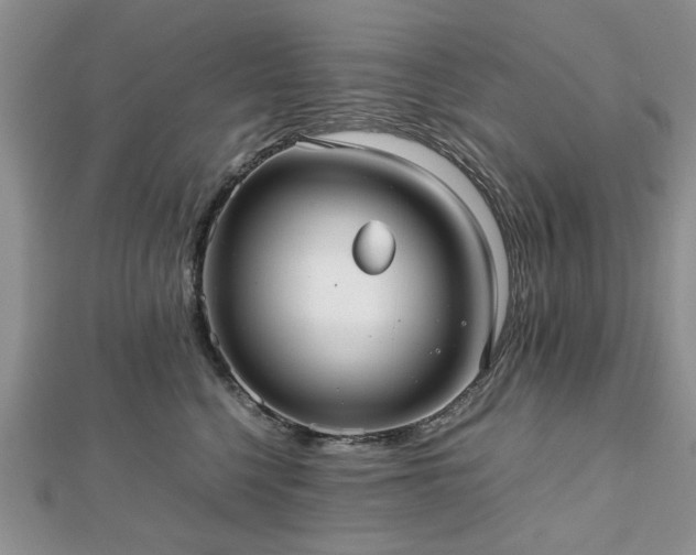 X0000112470568200908241235