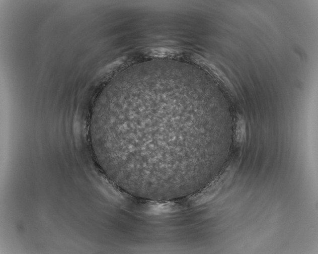 X0000112470569200908241235