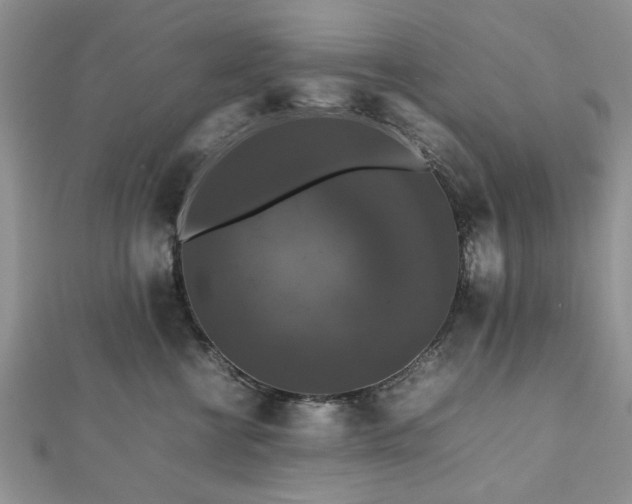 X0000112470570200908241235