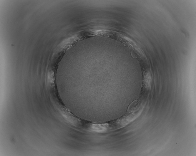 X0000112470571200908241235