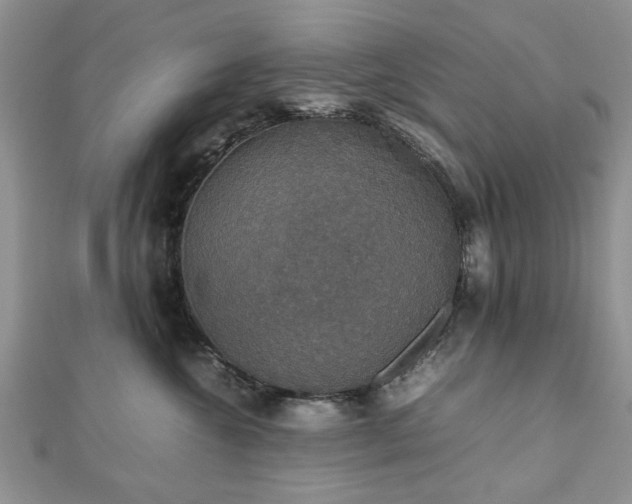 X0000112470572200908241235