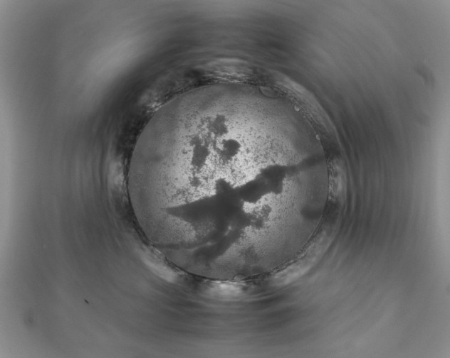 X0000112470573200908241235