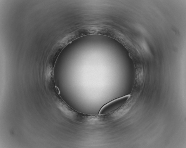 X0000112470574200908241235