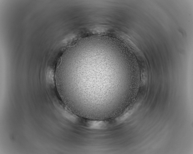 X0000112470575200908241235