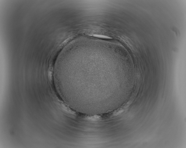 X0000112470576200908241235