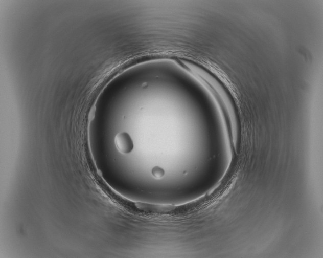 X0000112470577200908241235