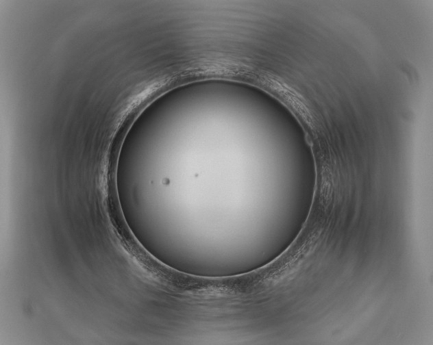 X0000112470578200908241235