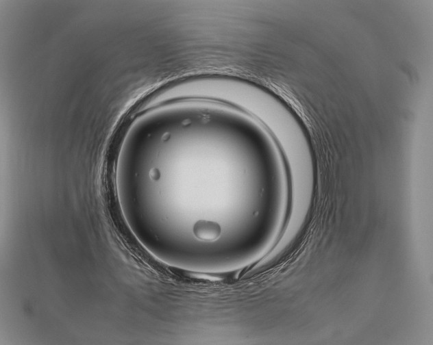 X0000112470579200908241235