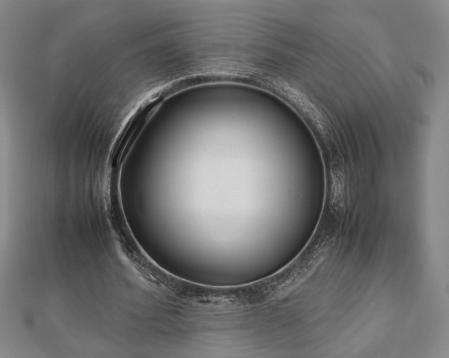 X0000112470580200908241235